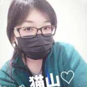 ヒメ日記 2025/12/10 10:35 投稿 猫山【ねこやま】 丸妻 西船橋店