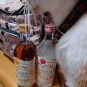 ヒメ日記 2025/12/31 17:45 投稿 猫山【ねこやま】 丸妻 西船橋店