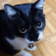 ヒメ日記 2026/01/09 09:31 投稿 猫山【ねこやま】 丸妻 西船橋店