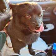 ヒメ日記 2026/01/10 17:28 投稿 猫山【ねこやま】 丸妻 西船橋店