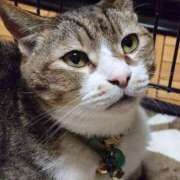 ヒメ日記 2026/01/25 19:08 投稿 猫山【ねこやま】 丸妻 西船橋店