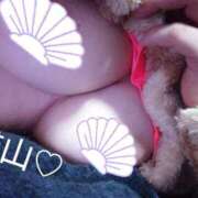 ヒメ日記 2026/02/17 20:18 投稿 猫山【ねこやま】 丸妻 西船橋店