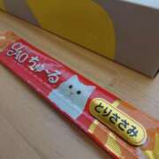 ヒメ日記 2026/02/23 12:26 投稿 猫山【ねこやま】 丸妻 西船橋店