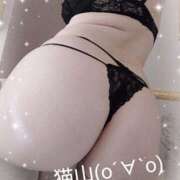 ヒメ日記 2026/02/23 17:17 投稿 猫山【ねこやま】 丸妻 西船橋店