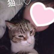 ヒメ日記 2026/02/24 17:10 投稿 猫山【ねこやま】 丸妻 西船橋店