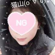 ヒメ日記 2026/02/25 12:47 投稿 猫山【ねこやま】 丸妻 西船橋店