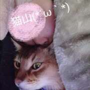 猫山【ねこやま】 筋トレを心に違う…… 丸妻 西船橋店