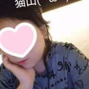 ヒメ日記 2026/03/04 16:08 投稿 猫山【ねこやま】 丸妻 西船橋店