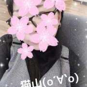 ヒメ日記 2026/03/05 11:54 投稿 猫山【ねこやま】 丸妻 西船橋店