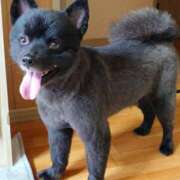 ヒメ日記 2026/03/22 14:27 投稿 猫山【ねこやま】 丸妻 西船橋店