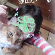 ヒメ日記 2026/03/23 09:17 投稿 猫山【ねこやま】 丸妻 西船橋店