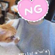 ヒメ日記 2026/03/24 21:11 投稿 猫山【ねこやま】 丸妻 西船橋店