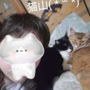 ヒメ日記 2026/04/02 20:31 投稿 猫山【ねこやま】 丸妻 西船橋店