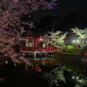 ヒメ日記 2026/04/03 05:55 投稿 猫山【ねこやま】 丸妻 西船橋店