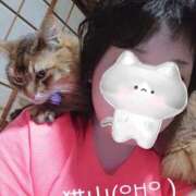 ヒメ日記 2026/04/11 04:52 投稿 猫山【ねこやま】 丸妻 西船橋店