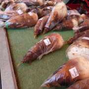 ヒメ日記 2026/04/12 11:47 投稿 猫山【ねこやま】 丸妻 西船橋店