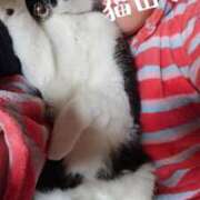 ヒメ日記 2026/04/13 14:39 投稿 猫山【ねこやま】 丸妻 西船橋店