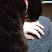 ヒメ日記 2026/04/16 05:14 投稿 猫山【ねこやま】 丸妻 西船橋店