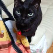 ヒメ日記 2026/04/22 04:43 投稿 猫山【ねこやま】 丸妻 西船橋店