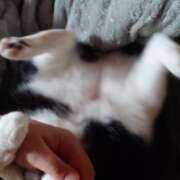 ヒメ日記 2026/06/08 07:48 投稿 猫山【ねこやま】 丸妻 西船橋店