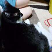 ヒメ日記 2026/08/13 20:46 投稿 猫山【ねこやま】 丸妻 西船橋店