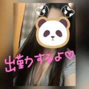 ヒメ日記 2025/02/16 20:05 投稿 らむ 栃木宇都宮ちゃんこ