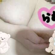 ヒメ日記 2025/02/19 20:25 投稿 らむ 栃木宇都宮ちゃんこ