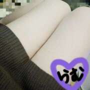 ヒメ日記 2025/03/07 02:15 投稿 らむ 栃木宇都宮ちゃんこ