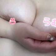 らむ ごめんなさい🥲 栃木宇都宮ちゃんこ