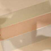 ヒメ日記 2025/06/05 01:29 投稿 ゆい 熊本グラマーグラマー