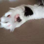 ヒメ日記 2025/06/13 01:14 投稿 ゆい 熊本グラマーグラマー