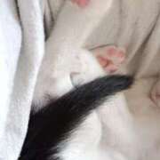 ヒメ日記 2025/06/15 16:19 投稿 ゆい 熊本グラマーグラマー