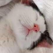 ヒメ日記 2025/06/16 16:34 投稿 ゆい 熊本グラマーグラマー