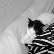 ヒメ日記 2025/06/19 16:27 投稿 ゆい 熊本グラマーグラマー