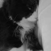 ヒメ日記 2025/06/20 02:16 投稿 ゆい 熊本グラマーグラマー