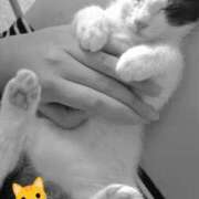 ヒメ日記 2025/06/22 16:39 投稿 ゆい 熊本グラマーグラマー