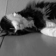 ヒメ日記 2025/06/23 16:52 投稿 ゆい 熊本グラマーグラマー