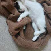 ヒメ日記 2025/06/24 16:48 投稿 ゆい 熊本グラマーグラマー