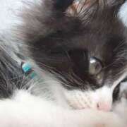 ヒメ日記 2025/06/25 16:30 投稿 ゆい 熊本グラマーグラマー