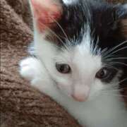 ヒメ日記 2025/06/30 08:39 投稿 ゆい 熊本グラマーグラマー