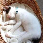 ヒメ日記 2025/07/04 13:03 投稿 ゆい 熊本グラマーグラマー