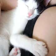 ヒメ日記 2025/07/05 13:45 投稿 ゆい 熊本グラマーグラマー