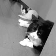 ヒメ日記 2025/07/10 16:18 投稿 ゆい 熊本グラマーグラマー