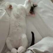 ヒメ日記 2025/07/11 12:52 投稿 ゆい 熊本グラマーグラマー