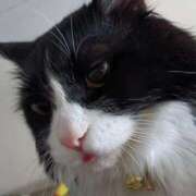 ヒメ日記 2025/07/16 16:14 投稿 ゆい 熊本グラマーグラマー