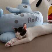 ヒメ日記 2025/07/17 16:30 投稿 ゆい 熊本グラマーグラマー