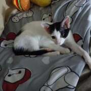 ヒメ日記 2025/07/30 16:21 投稿 ゆい 熊本グラマーグラマー