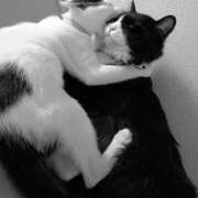 ヒメ日記 2025/07/31 16:03 投稿 ゆい 熊本グラマーグラマー