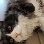 ヒメ日記 2025/08/02 19:25 投稿 ゆい 熊本グラマーグラマー