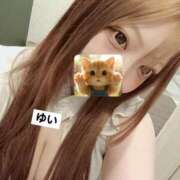 ヒメ日記 2026/03/24 13:28 投稿 ゆい 熊本グラマーグラマー